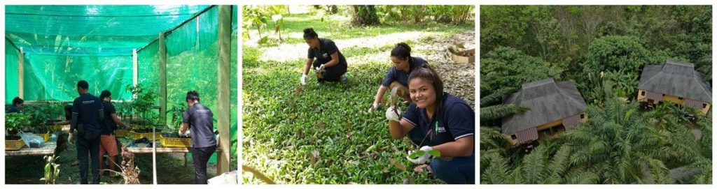 Ecotourism: Anurak Lodge in Thailand Announces โRainforest Risingโ Campaign