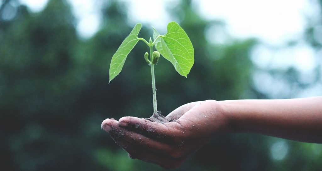 Is Investing in Startups A Good Idea?