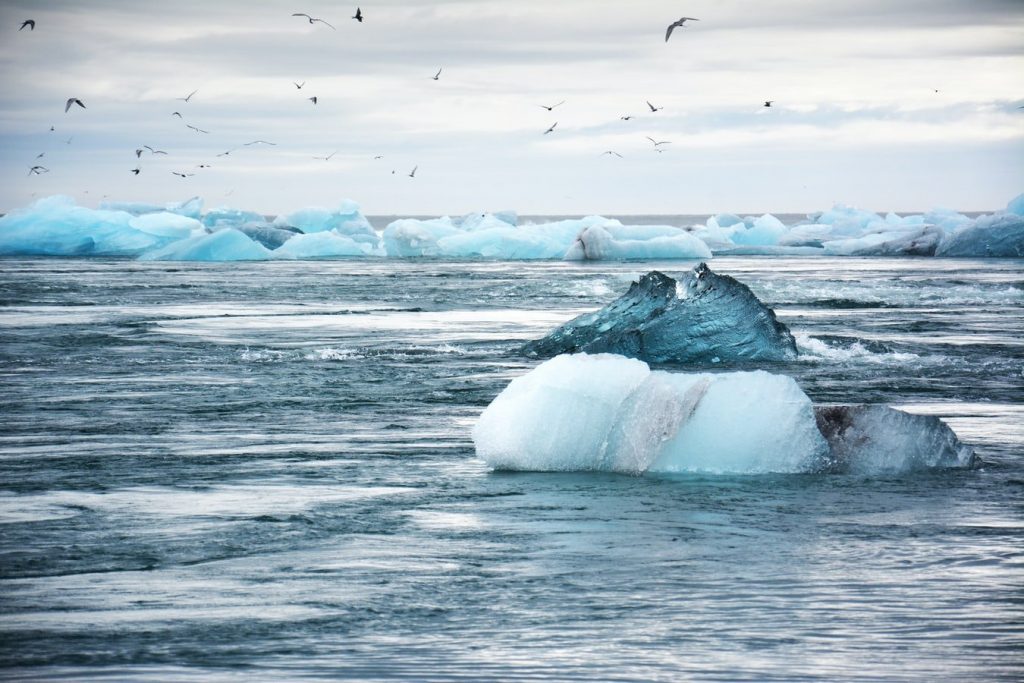 climate crisis 2