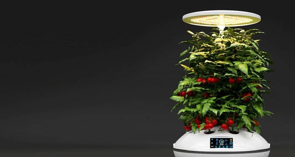 Hydroponics, Agro2o