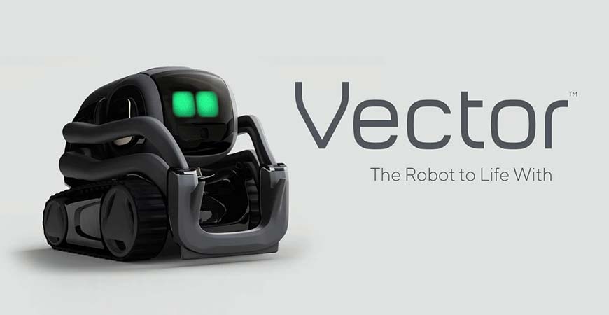 Vector by Digital Dream Labs