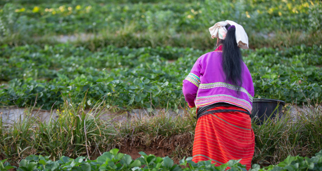 Nepal’s Women Farmers