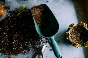 Meet eSoil—What Are the Pros and Cons of Electronic Soil in Urban Hydroponic Farming?