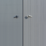 surveillance