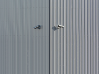 surveillance